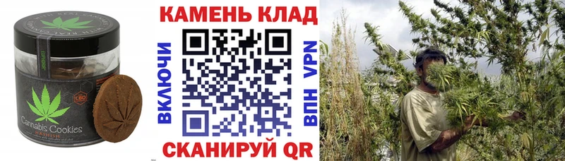 Canna-Cookies конопля Каспийск