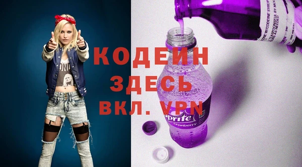 индика Белокуриха