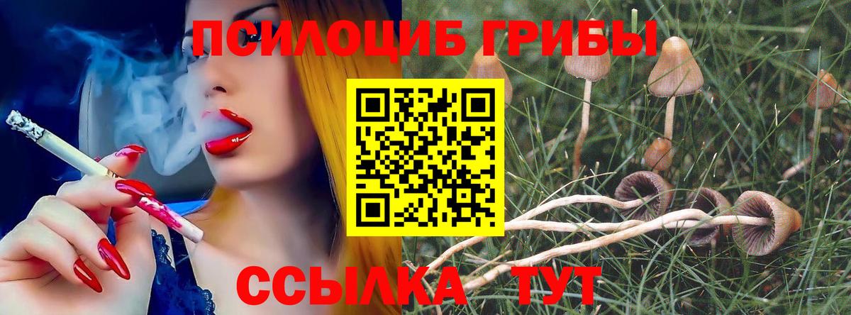 купить наркотики цена  Псилоцибиновые грибы прущие грибы  Вход с VPN  Каспийск 